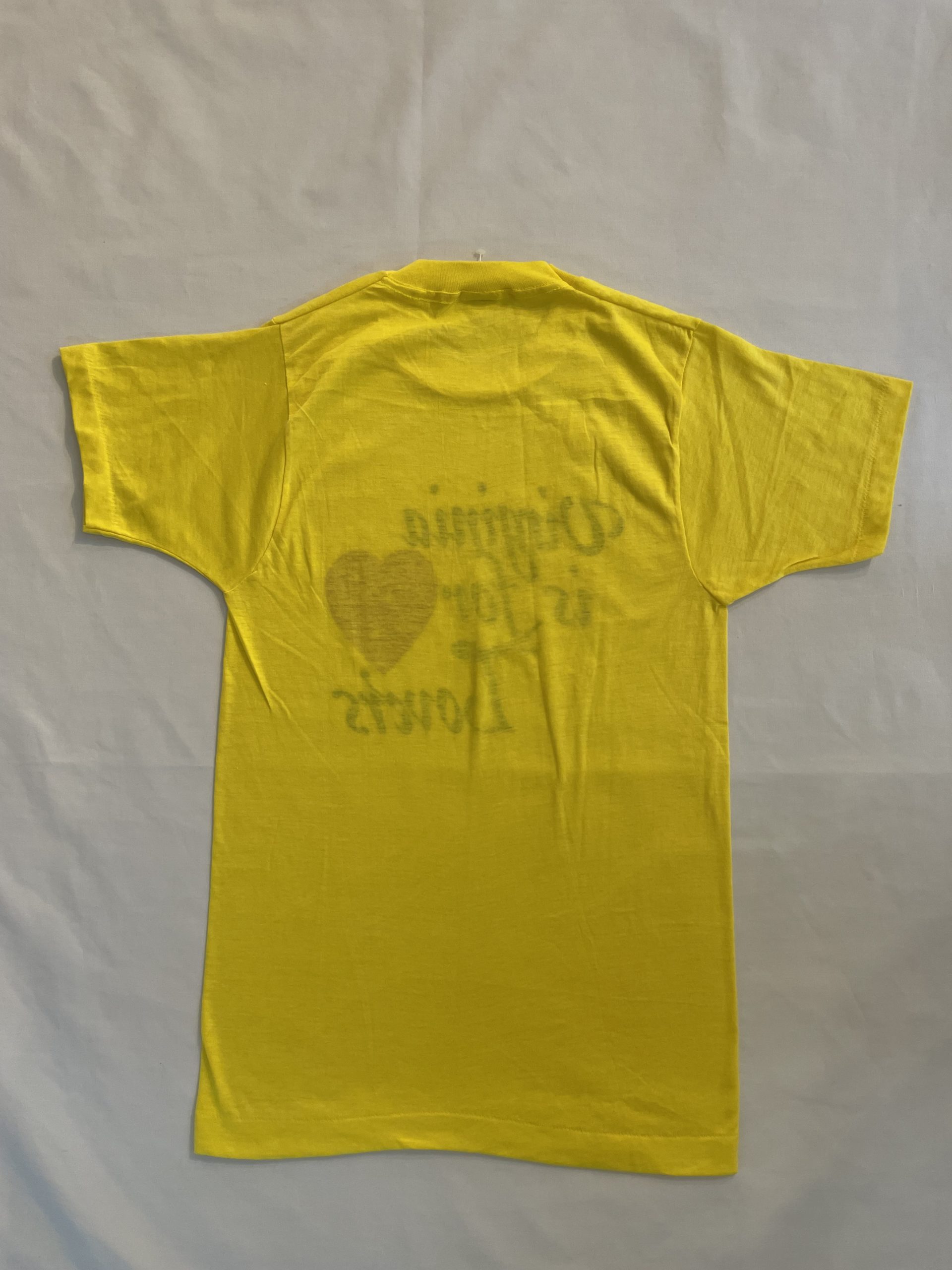 1970/80年代 ビンテージ スーベニア Tシャツ 1970/80s souvenir